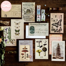 Load image into Gallery viewer, Mr.Paper 30pcs/box Ancient Forest Animals Plants Specimen Postcard Vintage Retro Style Creative Writing Greeting Gift Postcards