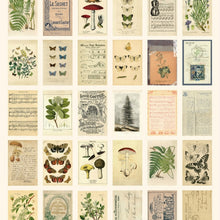 Load image into Gallery viewer, Mr.Paper 30pcs/box Ancient Forest Animals Plants Specimen Postcard Vintage Retro Style Creative Writing Greeting Gift Postcards